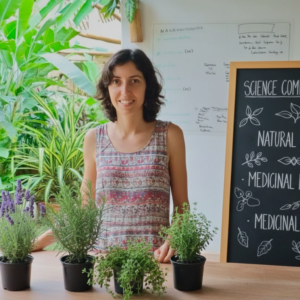 Proceso de biomedicina herbal