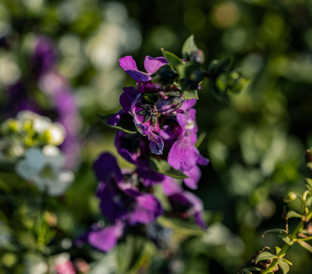 pexels-optical-chemist-340351297-31241807